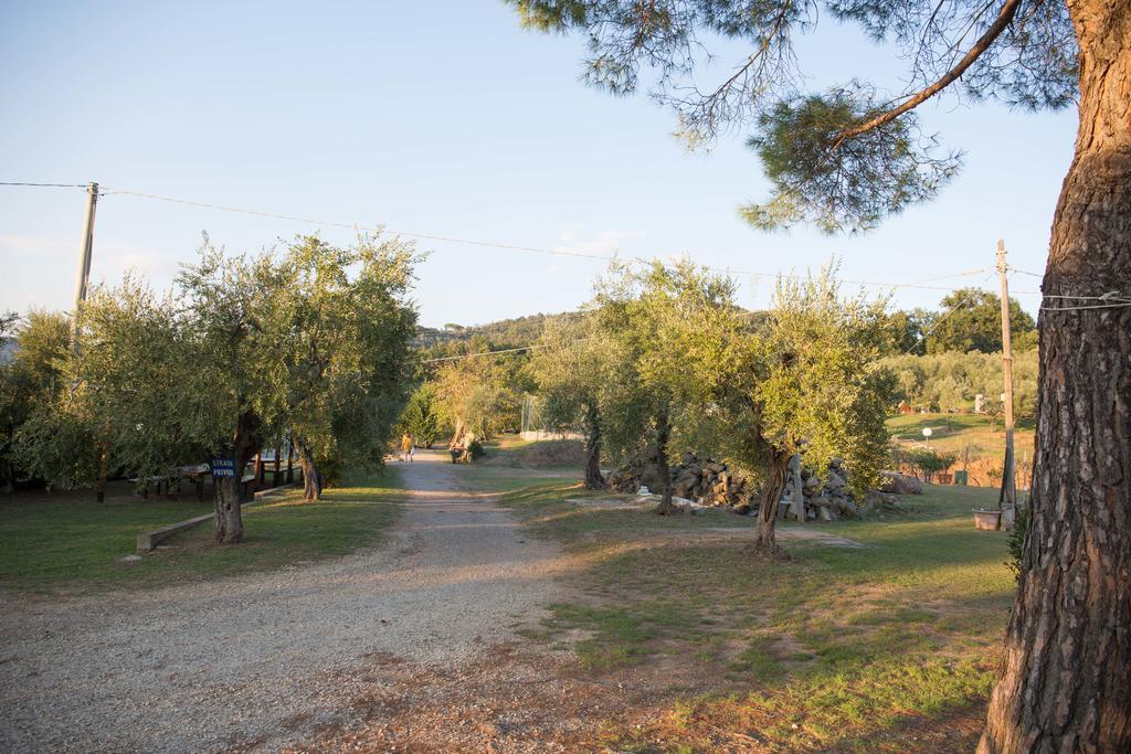 Agriturismo Poggetto Larciano エクステリア 写真