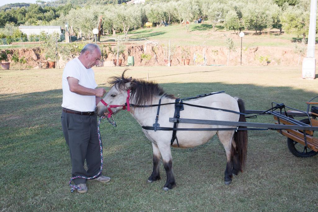 Agriturismo Poggetto Larciano エクステリア 写真
