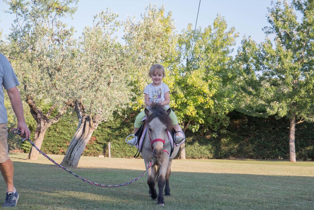 Agriturismo Poggetto Larciano エクステリア 写真